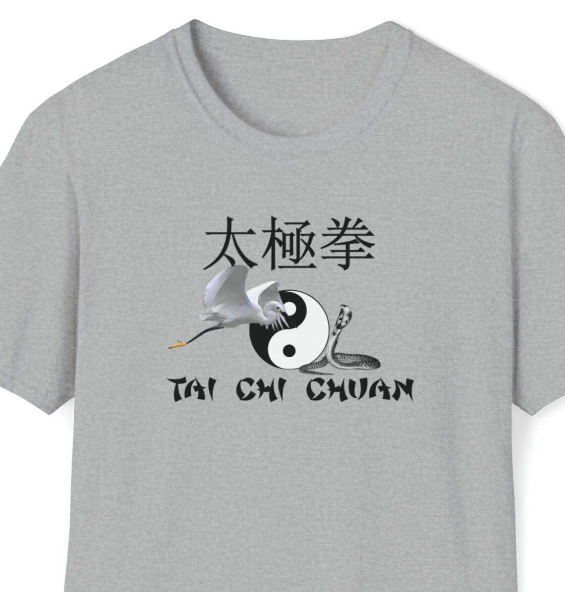 Tai Chi T-Shirts