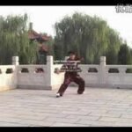 baguazhang