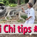 tai chi chuan