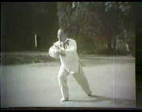 tai chi chuan