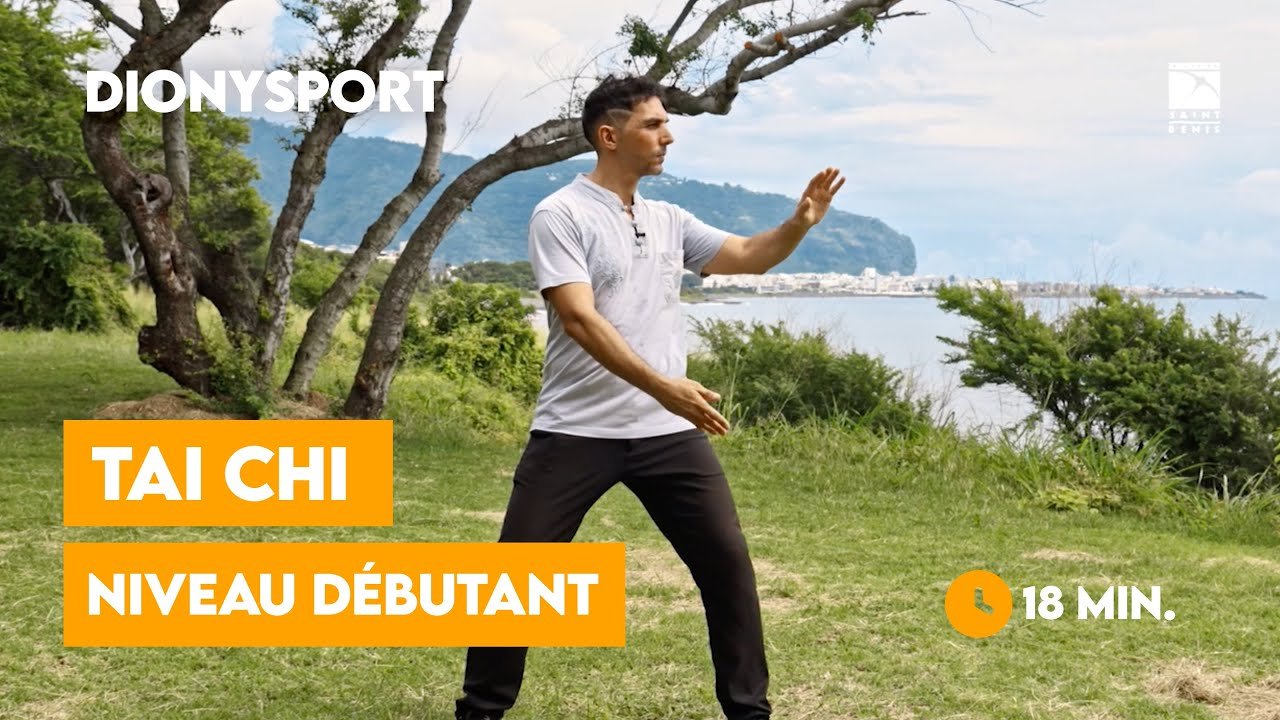 tai chi chuan