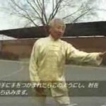 baguazhang