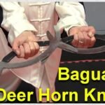 baguazhang deer horn