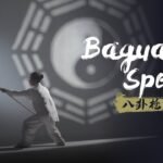 baguazhang spear