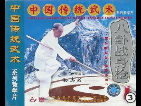 baguazhang spear