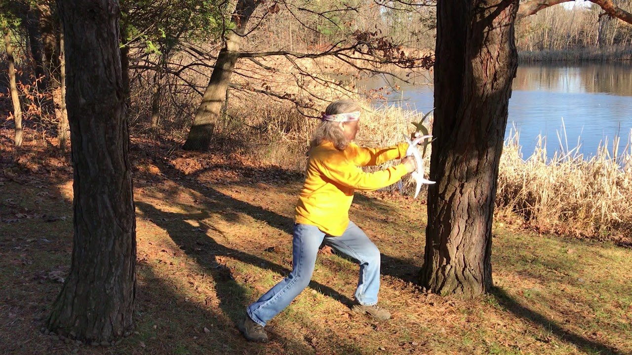 baguazhang deer horn