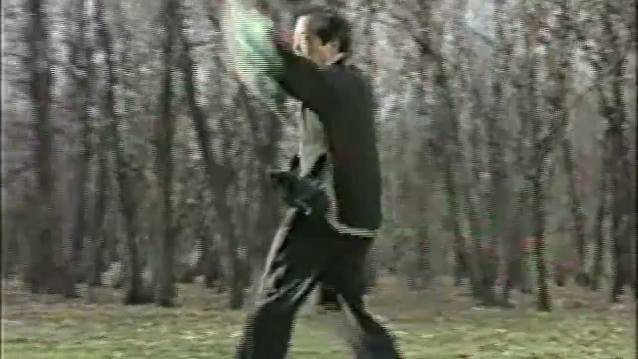 baguazhang deer horn