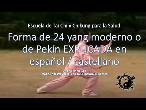 tai chi chuan