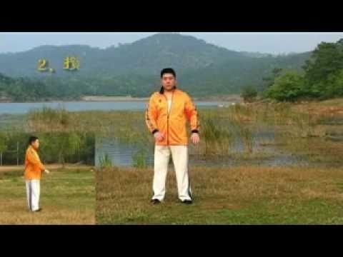 tai chi chuan