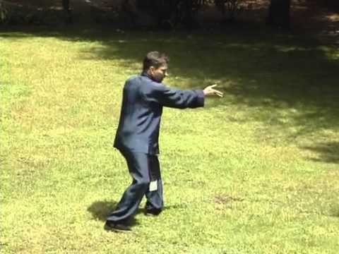 tai chi chuan