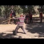 baguazhang spear