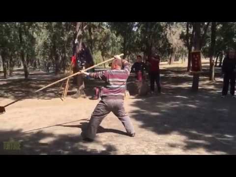 baguazhang spear