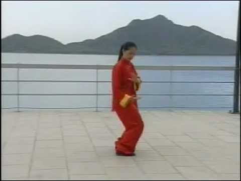 tai chi chuan