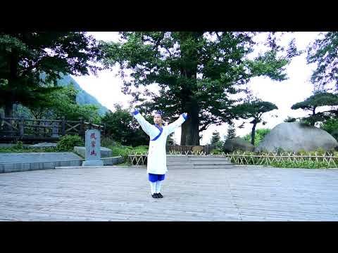 Tutorial: Xing Yi Quan ( 形意拳 ) - F.R.T.C.Q