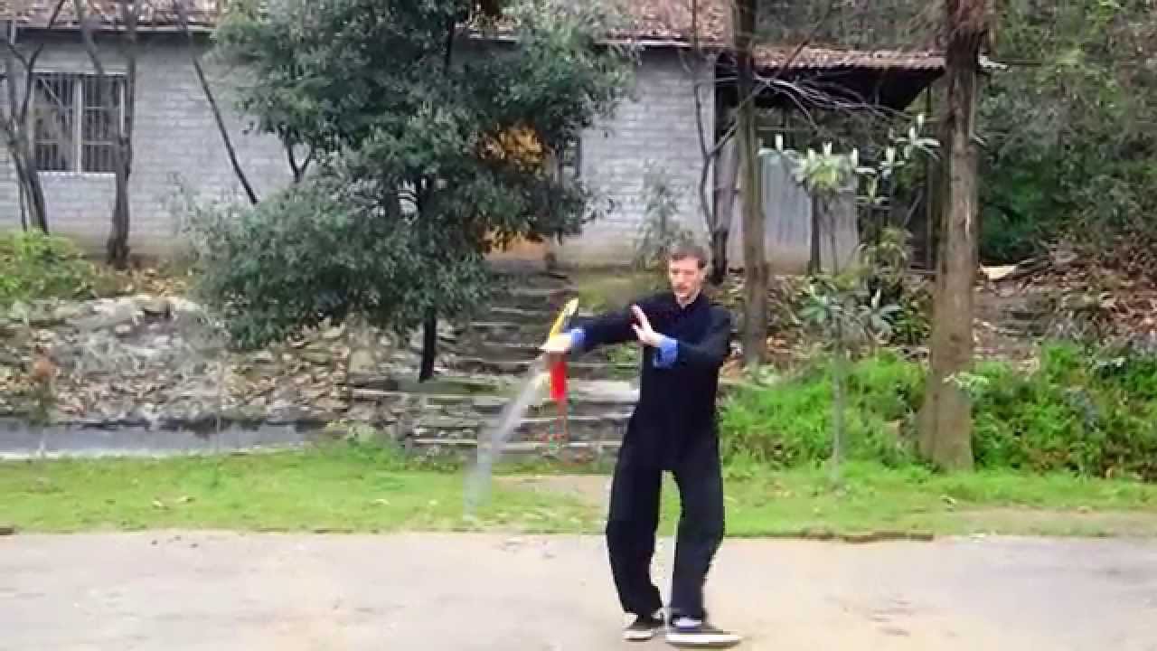 baguazhang dao