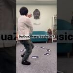 baguazhang