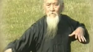 Qigong Master Lu Zijian at 118 years of age - F.R.T.C.Q