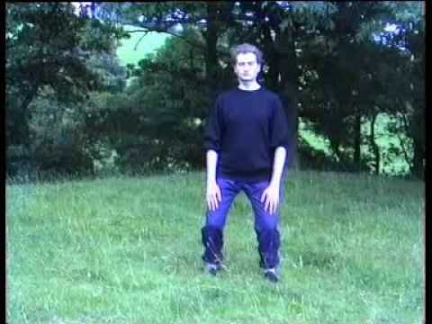 tai chi chuan