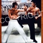 martial arts poster