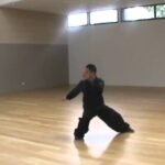 tai chi chuan