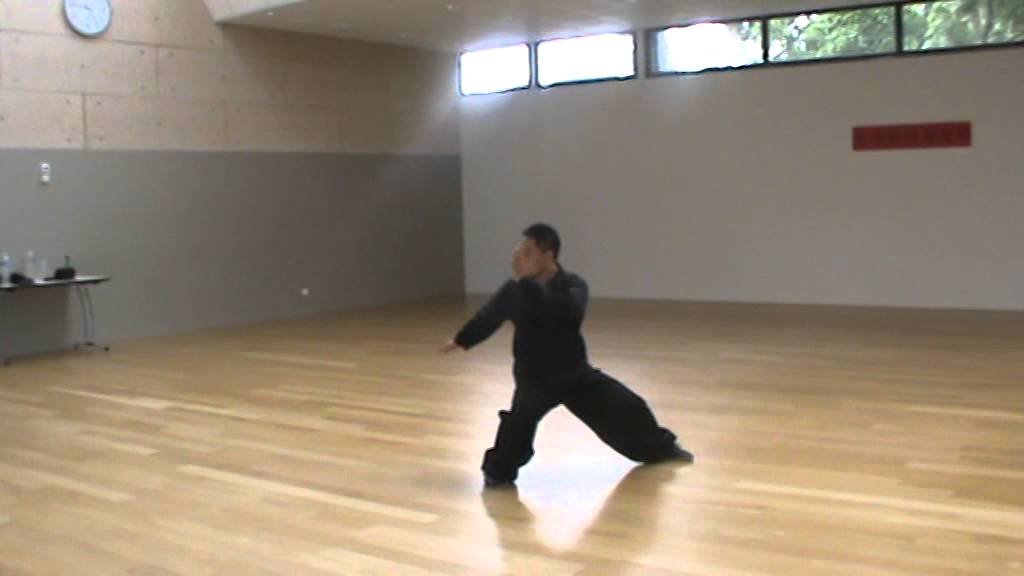 tai chi chuan