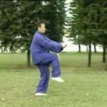 tai chi sword