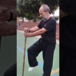 tai chi chuan