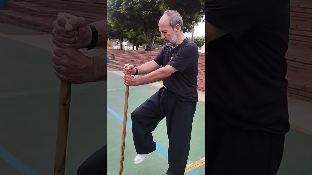 tai chi chuan