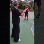 tai chi chuan