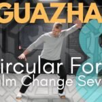 baguazhang