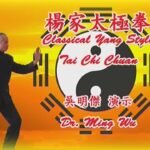 tai chi chuan