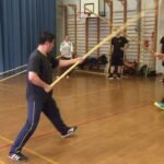 baguazhang spear