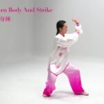 tai chi chuan