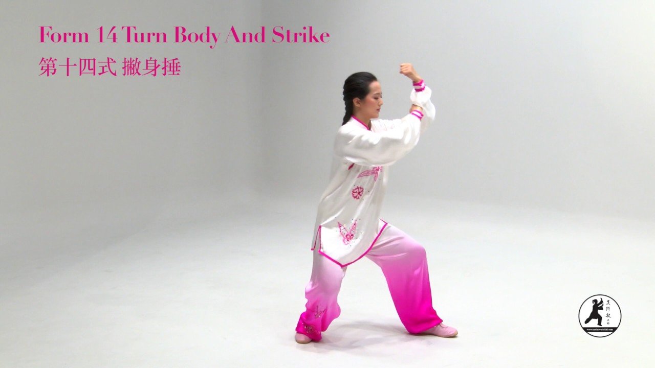 tai chi chuan