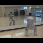 tai chi chuan