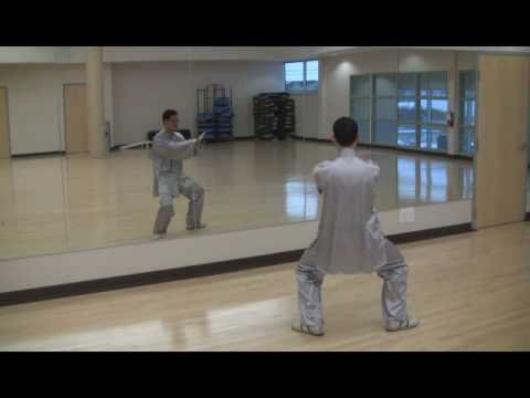 tai chi chuan