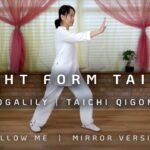 tai chi chuan