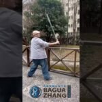 baguazhang