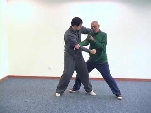 baguazhang dao