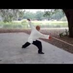 baguazhang spear