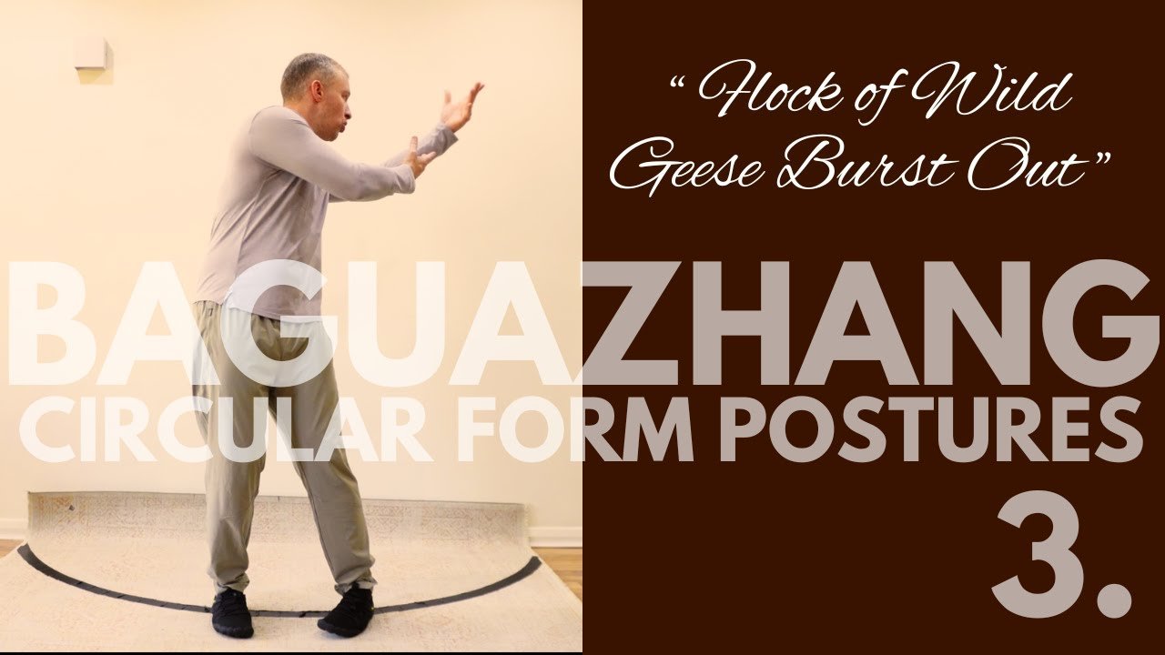 baguazhang dao