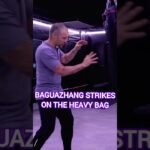 baguazhang dao