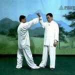 baguazhang spear