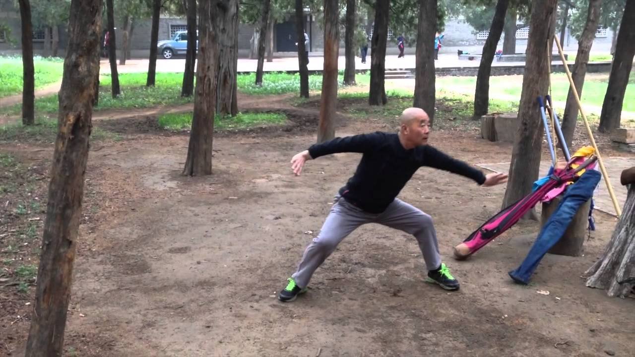 baguazhang dao