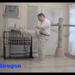 baguazhang spear