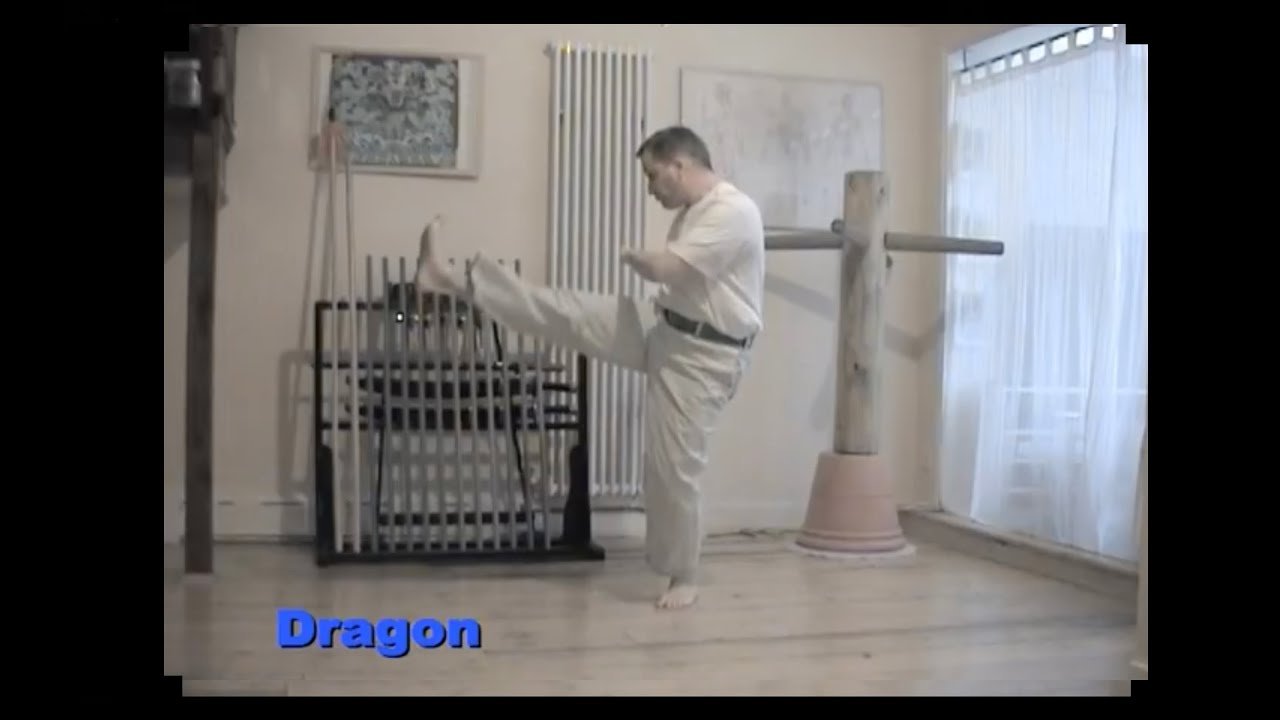 baguazhang spear