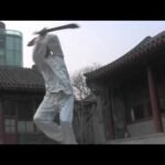 baguazhang dao