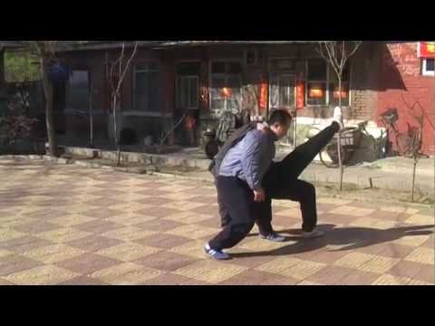 baguazhang spear