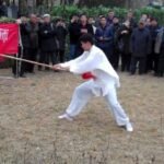 baguazhang spear