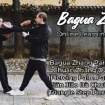 baguazhang dao